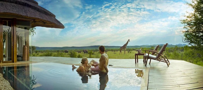 African Safari Home - Luxury Safaris (2025)