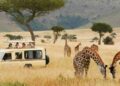 Unveiling Africa’s Wildlife Wonders: A Guide To The Best Safari Tours ...