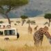 Unveiling Africa’s Wildlife Wonders: A Guide To The Best Safari Tours ...