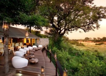 Luxury African Safaris | Art Of Safari